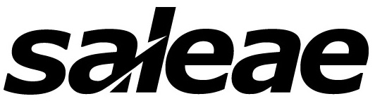Saleae MSO API Documentation - Home